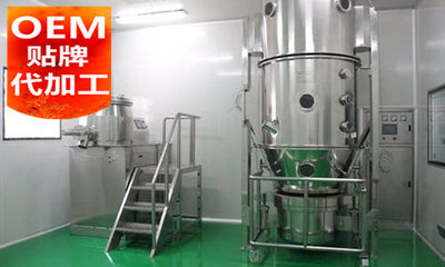 代加工項目 家政行業的創新模式與市場前景