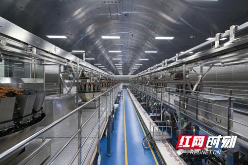 清華大學學子走進勁仔食品，共探“科研興企”新路徑